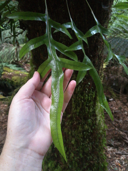 Message for September - sent with LOVE