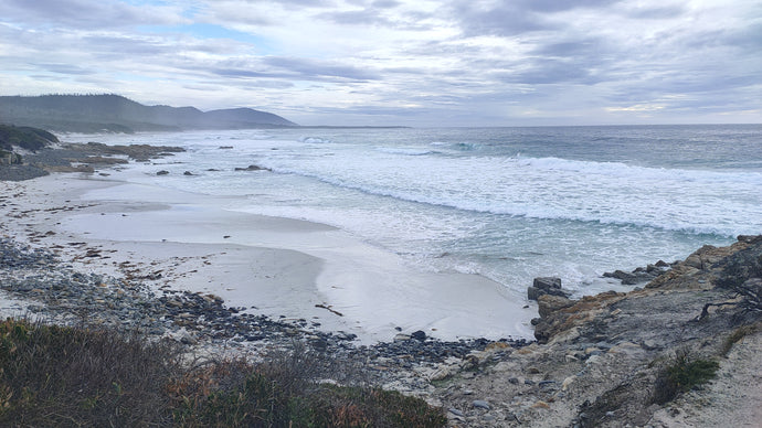 CURRENT ENERGY REPORT SNIPPET