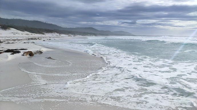 CURRENT ENERGY REPORT SNIPPET