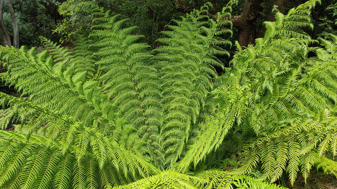 CURRENT ENERGY REPORT SNIPPET