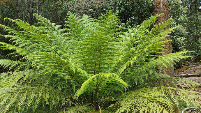 CURRENT ENERGY REPORT SNIPPET