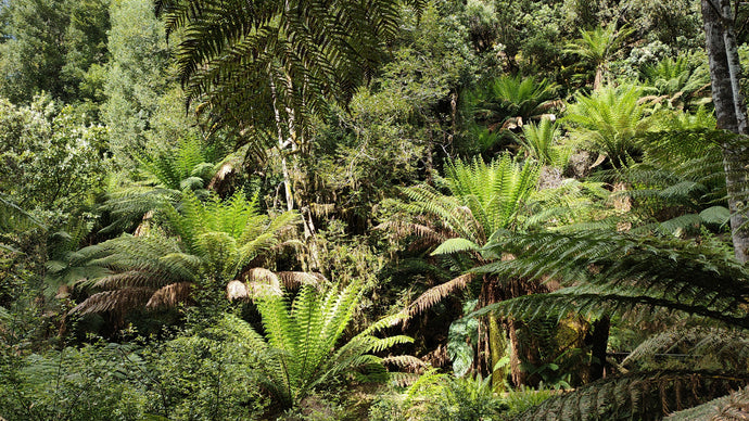 CURRENT ENERGY REPORT SNIPPET