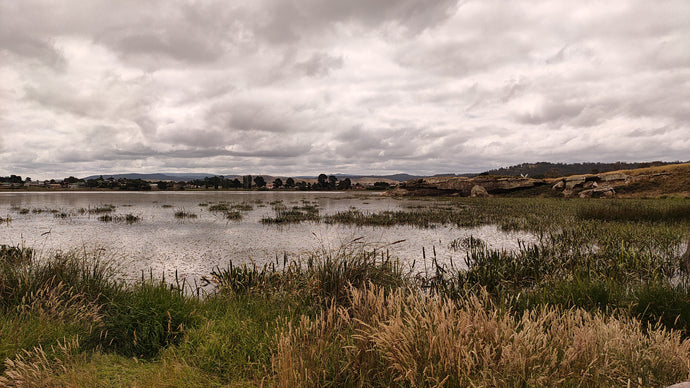 Message for February - sent with LOVE