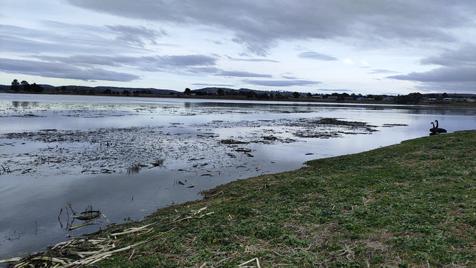 CURRENT ENERGY REPORT SNIPPET