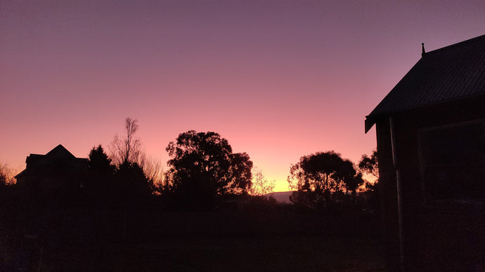 CURRENT ENERGY REPORT SNIPPET