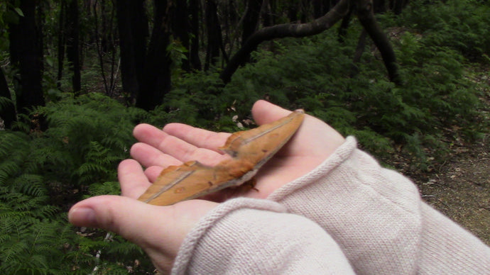 CURRENT ENERGY REPORT SNIPPET