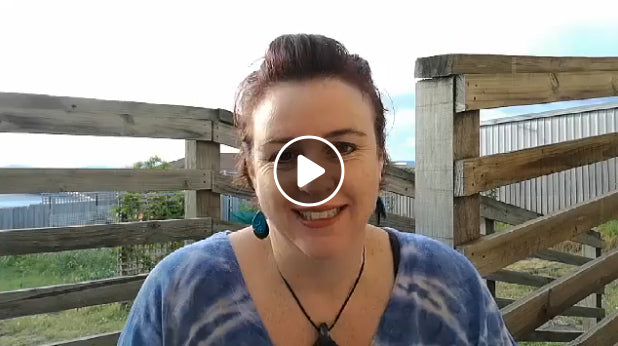 Guidance for Thu 14 and Fri 15 Nov