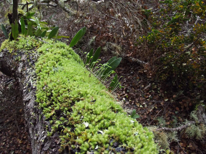 CURRENT ENERGY REPORT SNIPPET