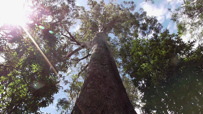 CURRENT ENERGY REPORT SNIPPET