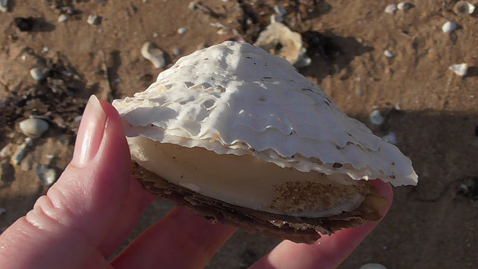 CURRENT ENERGY REPORT SNIPPET