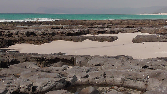 CURRENT ENERGY REPORT SNIPPET