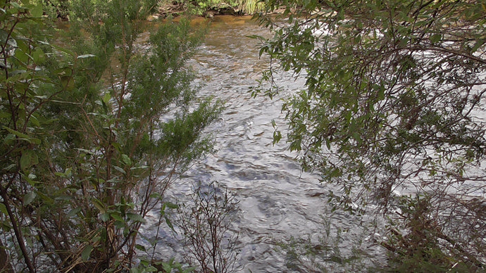 Message for April - sent with LOVE