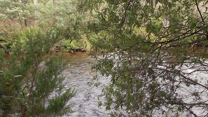 CURRENT ENERGY REPORT SNIPPET