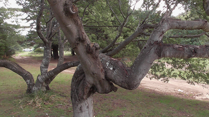 CURRENT ENERGY REPORT SNIPPET