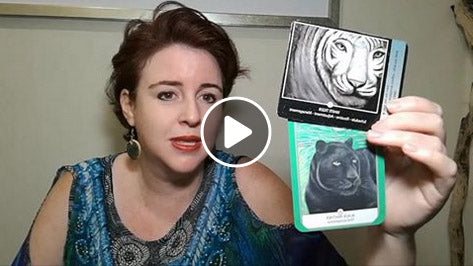 Guidance for Fri 23, Sat 24 and Sun 25 Aug