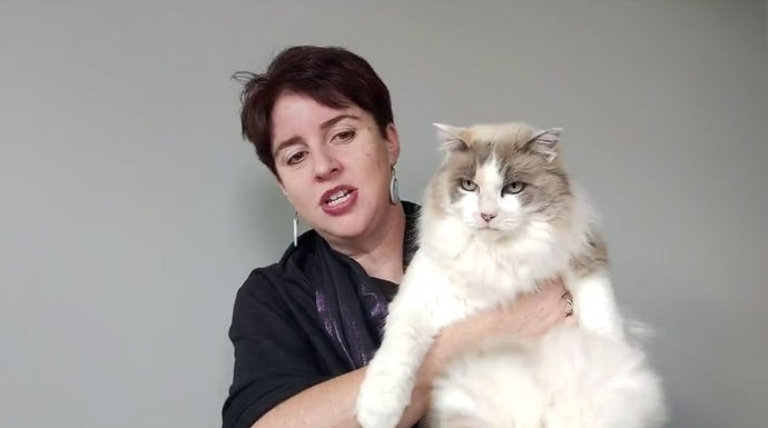 Cards for 8 - 14 June