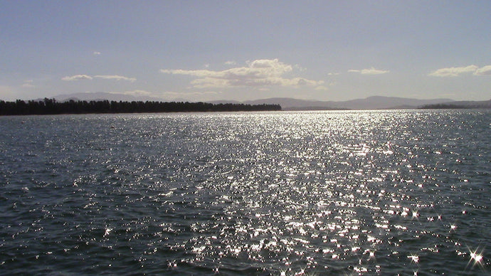 CURRENT ENERGY REPORT SNIPPET