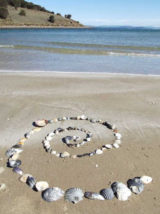 CURRENT ENERGY REPORT SNIPPET