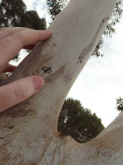 Message for April - sent with LOVE