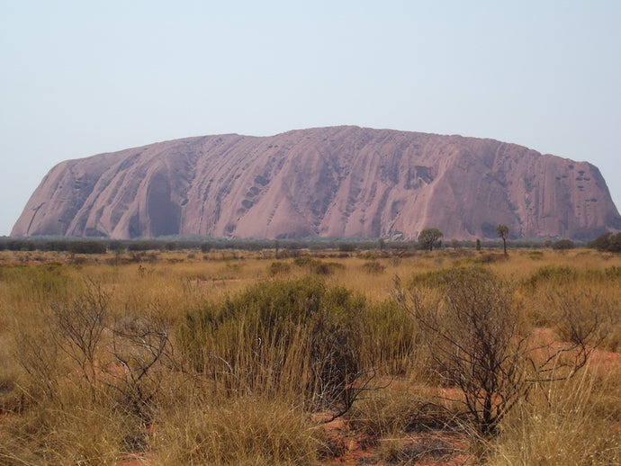 CURRENT ENERGY REPORT SNIPPET