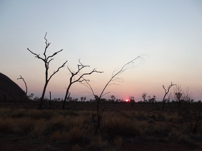 CURRENT ENERGY REPORT SNIPPET