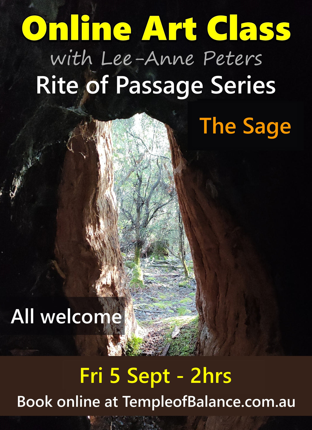 ONLINE ART CLASS - Rite of Passage Series - The Sage