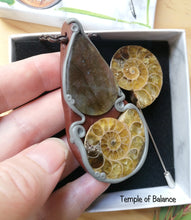 Load image into Gallery viewer, Ammonite Box Set - Pendant &amp; pin
